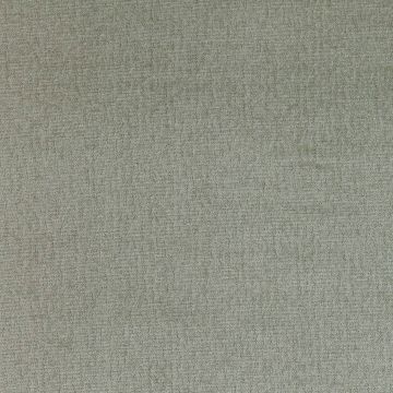 Manuel Canovas - Amala - 4931/07 Glace