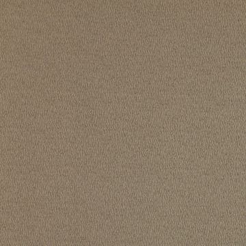 Manuel Canovas - Gita - 4936/06 Castor