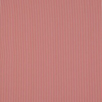 Manuel Canovas - Anafi - 4939/05 Anemone