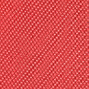 Manuel Canovas - Tinos - 4940/05 Anemone