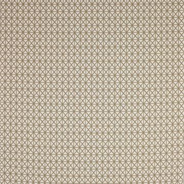 Manuel Canovas - Naxos - 4941/01 Terre