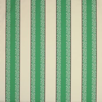 Manuel Canovas - Sifnos - 4942/04 Algue