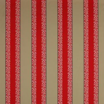 Manuel Canovas - Sifnos - 4942/05 Anemone