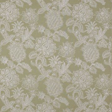 Manuel Canovas - Aditya - 4950/02 Nacre