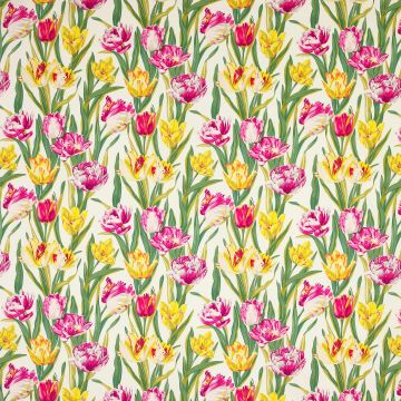 Manuel Canovas - Alegranza - 4967/01 Fuchsia