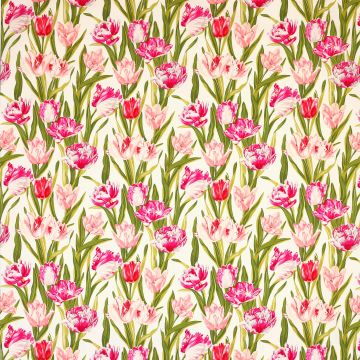 Manuel Canovas - Alegranza - 4967/02 Pivoine