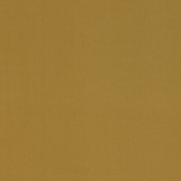 Manuel Canovas - Rivoli - 4982/06 Miel