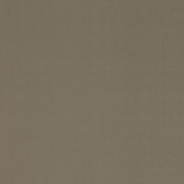 Manuel Canovas - Rivoli - 4982/08 Souris