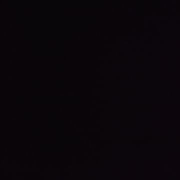 Manuel Canovas - Rivoli - 4982/13 Prune