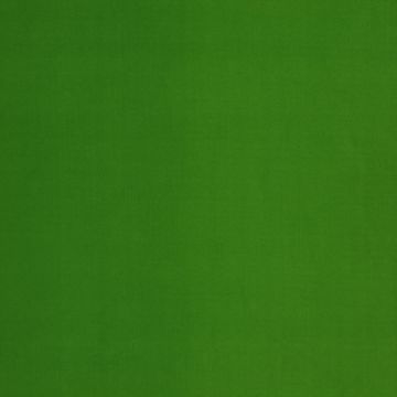 Manuel Canovas - Rivoli - 4982/19 Prairie