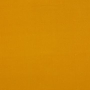 Manuel Canovas - Rivoli - 4982/29 Safran