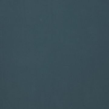 Manuel Canovas - Baudry - 4986/09 Canard