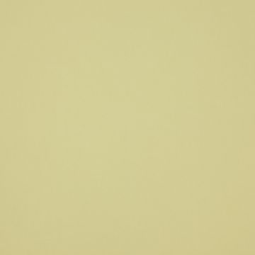 Manuel Canovas - Baudry - 4986/14 Absinthe