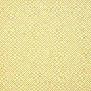 Manuel Canovas - Carros - M4019/02 Anis