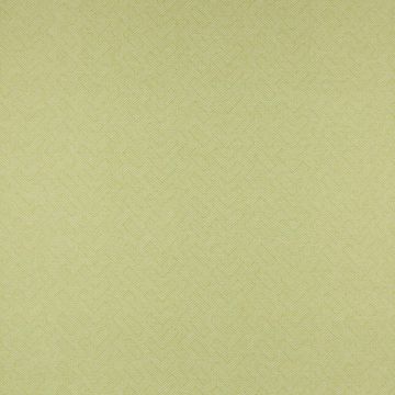 Manuel Canovas - Lombok - M4063-04 Cactus