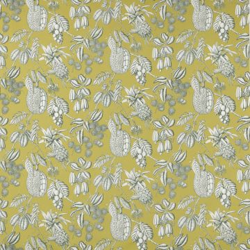 Manuel Canovas - Balangan - M4077-03 Kiwi