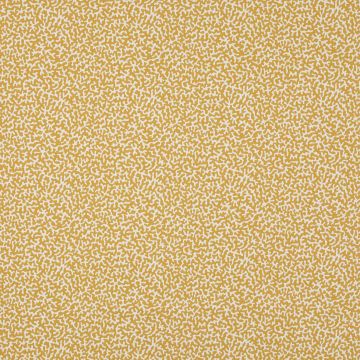 Manuel Canovas - Apolline - M4091-04 Soleil