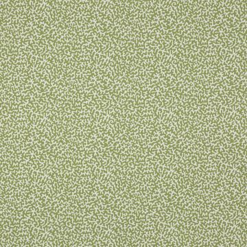 Manuel Canovas - Apolline - M4091-05 Kiwi