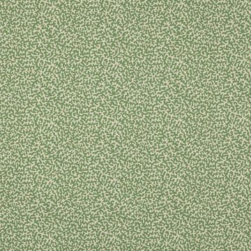 Manuel Canovas - Apolline - M4091-06 Prairie