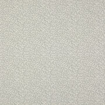 Manuel Canovas - Apolline - M4091-08 Glacier