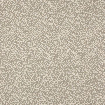 Manuel Canovas - Apolline - M4091-11 Pierre