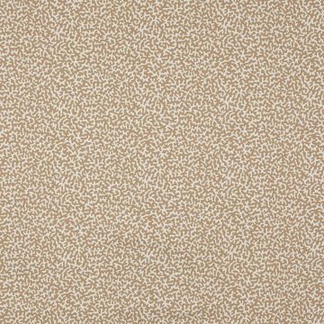 Manuel Canovas - Apolline - M4091-12 Dune