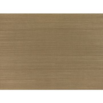 Mark Alexander - Abaca - MW100/08 - Ochre