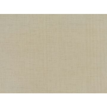 Mark Alexander - Papier - MW111/08 - Greenware