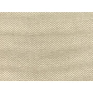 Mark Alexander - Shifu - MW112/06 - Parchment