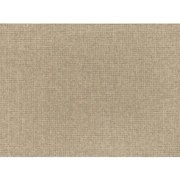 Mark Alexander - Shifu - MW112/07 - Bark