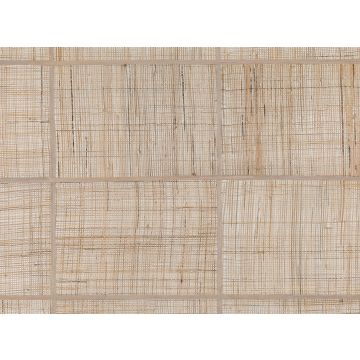 Mark Alexander - Grid - MW120/01 - Canvas