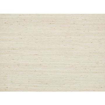 Mark Alexander - Rushes - MW133/01 - Jasper White