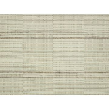 Mark Alexander - Root - MW134/01 - Jasper White