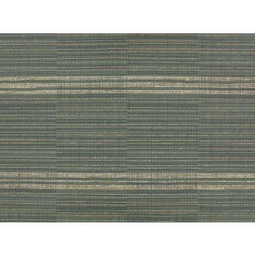 Mark Alexander - Root - MW134/03 - Shale