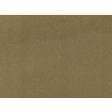 Mark Alexander - Plush - M205/23 Acorn