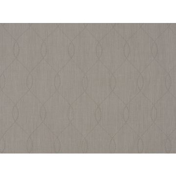 Mark Alexander - Ogee - M246/04 Birch