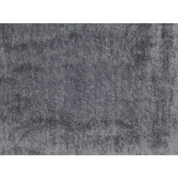 Mark Alexander - Jaguar - M360/04 Seal