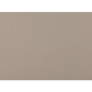 Mark Alexander - Town - M407/15 Fossil