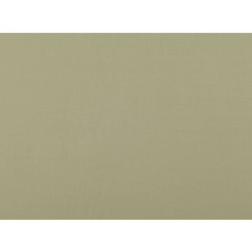 Mark Alexander - Town - M407/38 Eucalyptus