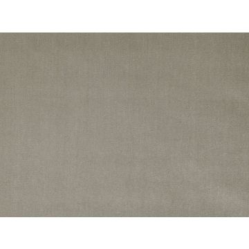 Mark Alexander - Burnish - M415/09 Moonrock