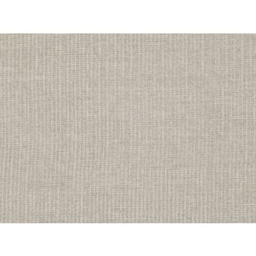 Mark Alexander - Haze - M421/02 Silverbirch