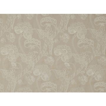 Mark Alexander - Coromandel - M422/02 Silverbirch