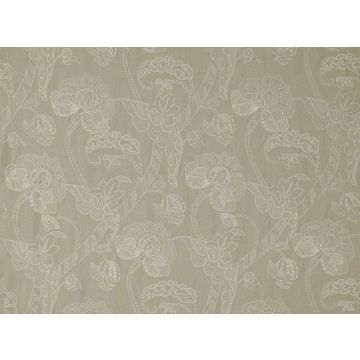 Mark Alexander - Coromandel - M422/03 Polar