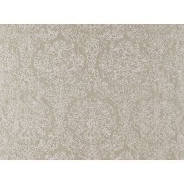 Mark Alexander - Contour - M423/05 Silvershell