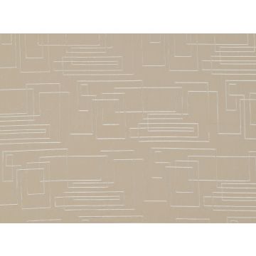 Mark Alexander - Sequence - M424/02 Silverbirch