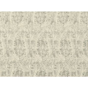 Mark Alexander - Dharma - M425/01 Silverbirch