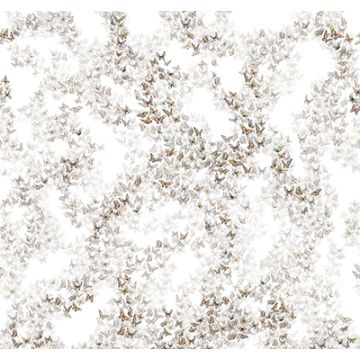 Matthew Williamson - Formentera - F7243-01