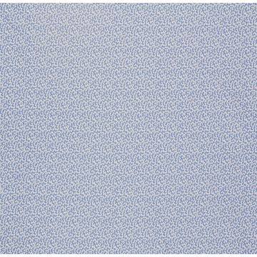 Lorca - Louisiane - Coquine - MLF2191-03