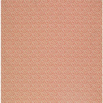 Lorca - Louisiane - Coquine - MLF2191-04