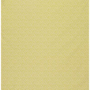 Lorca - Louisiane - Coquine - MLF2191-05